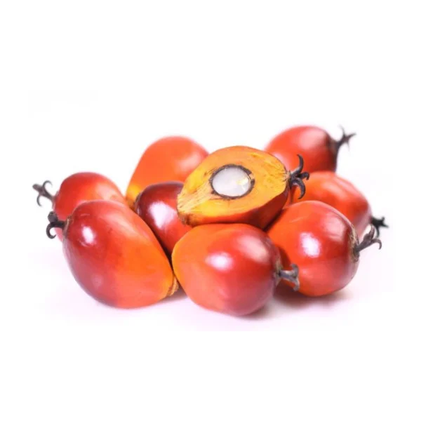 Palm Nuts